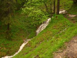 2013-06-01_Regina-F-Rau_Staffelalm_Hochwasser (090).JPG